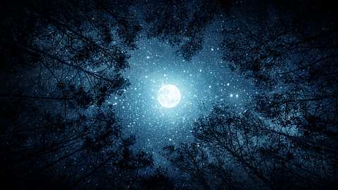 Leuchtender Vollmond steht von Bäumen umringt am sternenreichen Himmel - Foto: Trifonov_Evgeniy / iStock