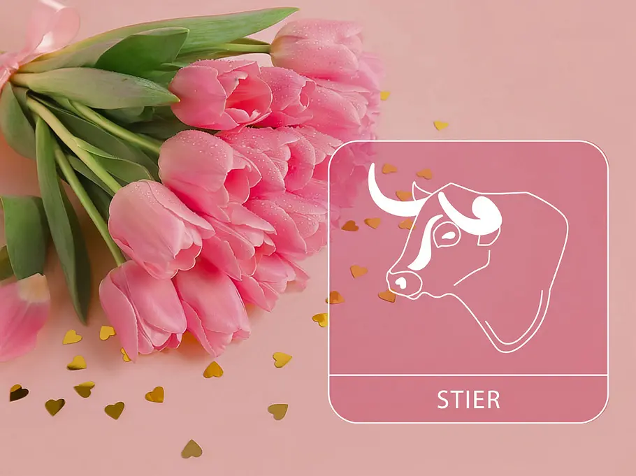 Sternzeichen Stier neben einem pinken Tulpenstrauß vor einem pinken Hintergrund
