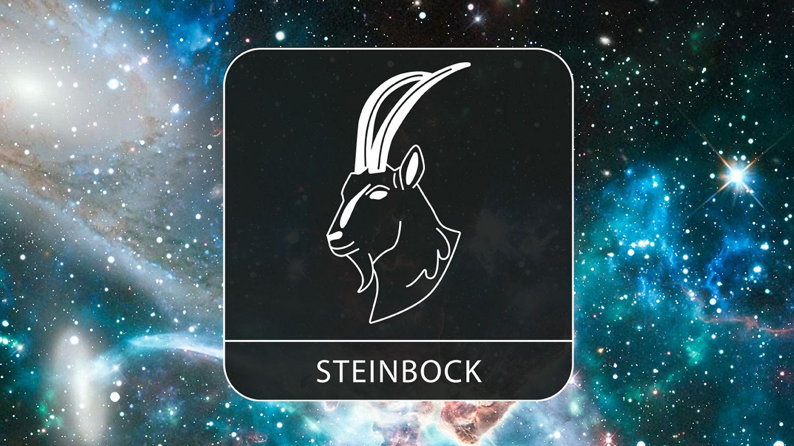 Michael Allgeiers Jahreshoroskop 2024: Sternzeichen Steinbock | Astrowoche