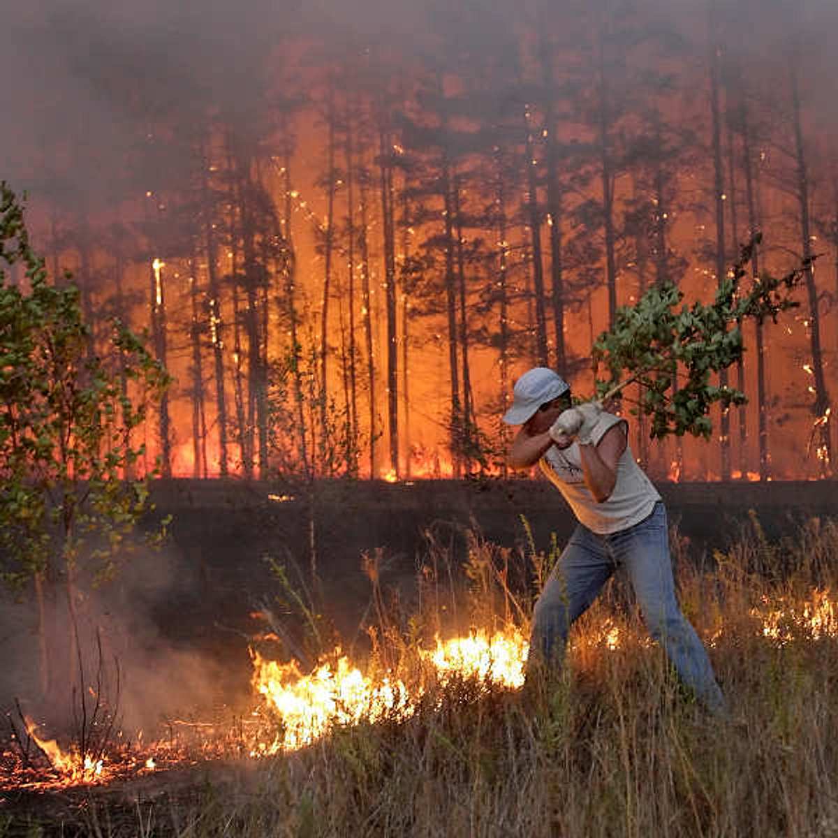 jahresrueckblick waldbraende russland