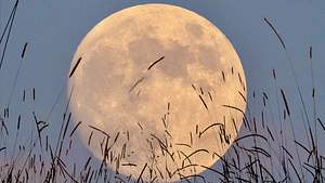 Juli-Vollmond am 21.07.2024: Mit diesem Heumond im Steinbock erreichen wir unsere Sommer-Ziele! - Foto: Abdulkadir ARSLAN / iStock