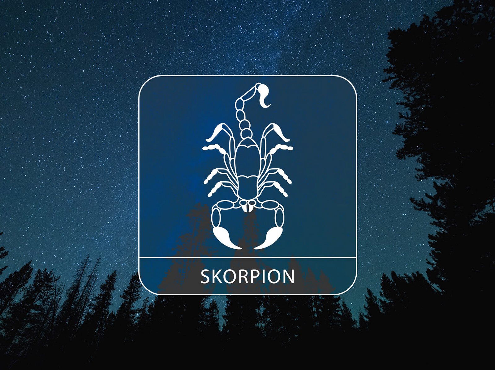 Konstantin M. Schotts Jahreshoroskop 2023: Sternzeichen Skorpion ...