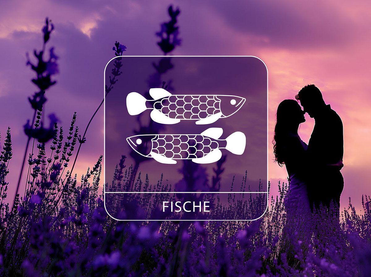 Sternzeichen Fische vor einem verliebten Paar in einem Lavendelfeld im Sonnenuntergang