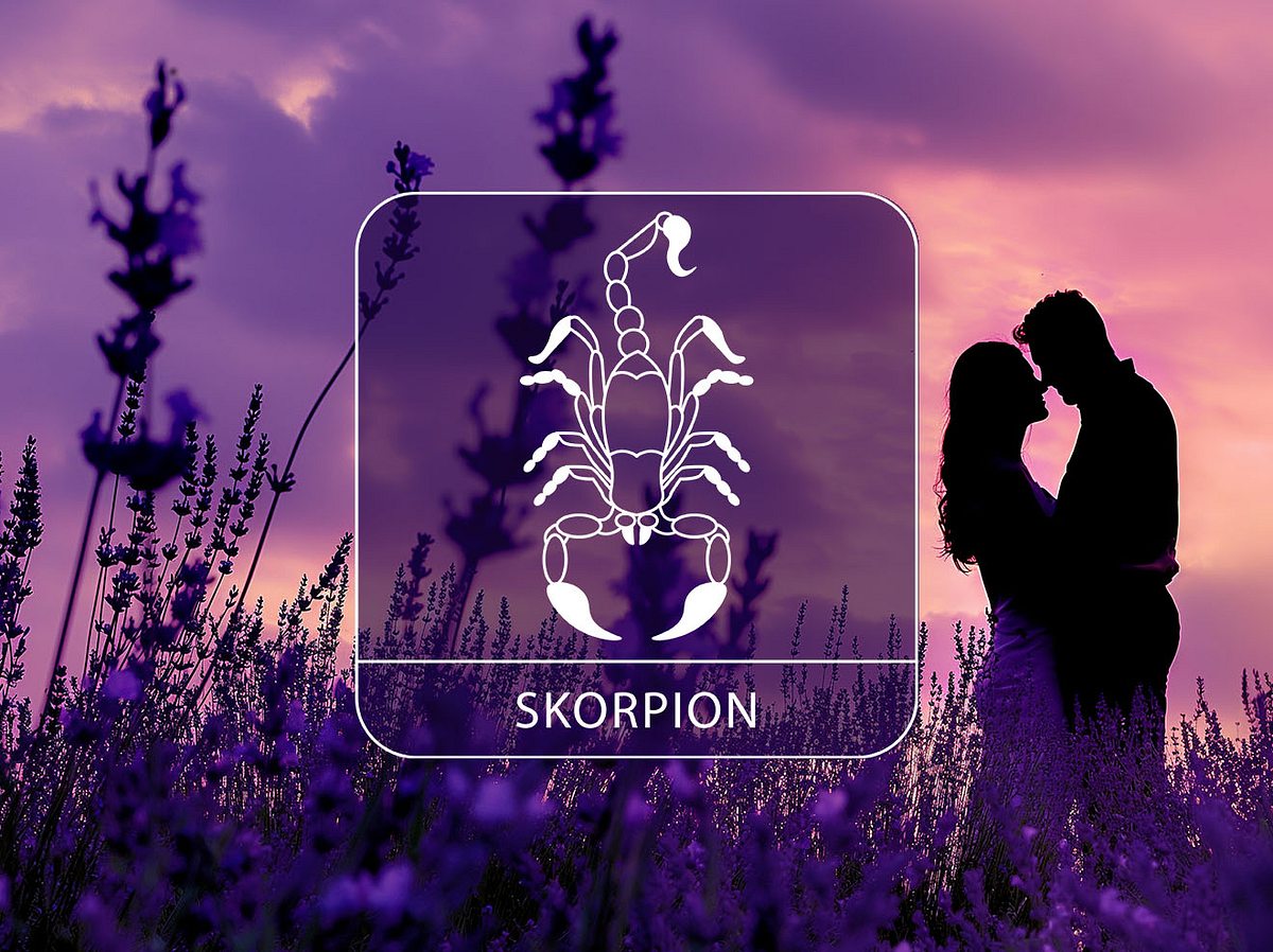 Sternzeichen Skorpion vor einem verliebten Paar in einem Lavendelfeld im Sonnenuntergang