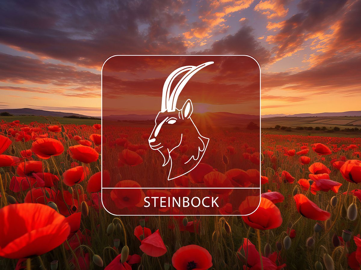 Ein Mohnfeld im Sonnenuntergang und das Sternzeichen Steinbock