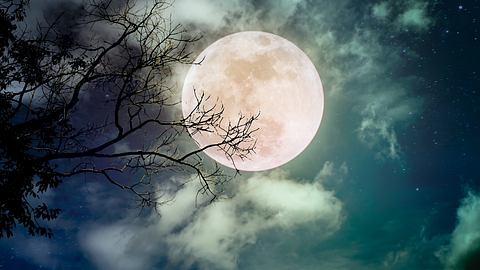 Der Löwe-Vollmond schenkt drei Sternzeichen eine Glückssträhne - Foto: kdshutterman/iStock