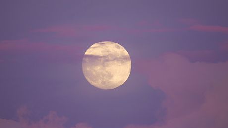 Mit dem Vollmond am 25.03.2024 gelingt diesen 3 Sternzeichen der Durchbruch in der Liebe - Foto: helivideo / iStock