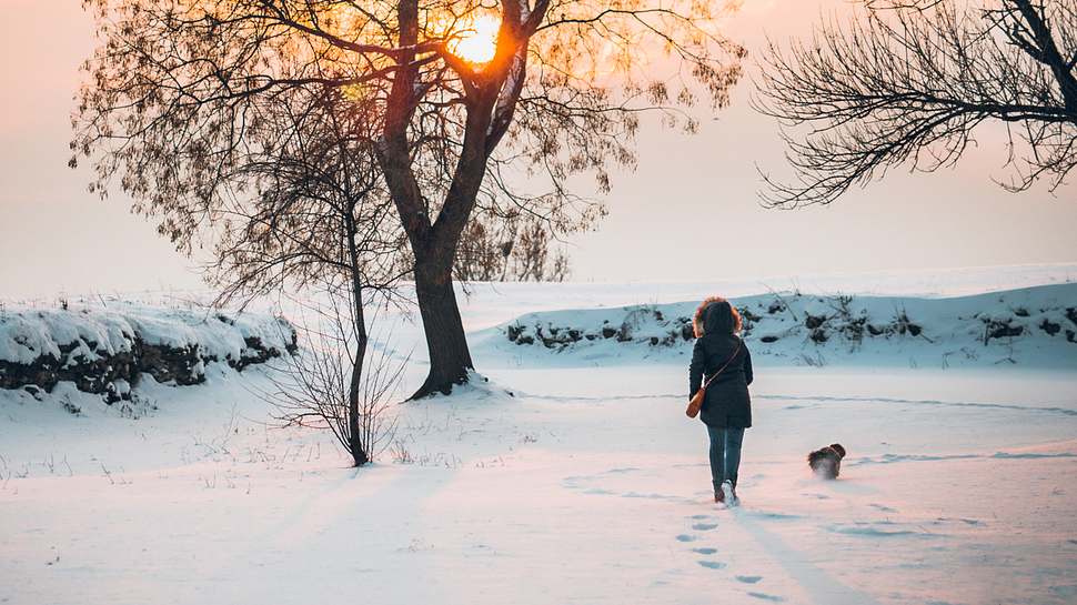 Frau spaziert mit ihrem Hund durch den Schnee - Foto: iStock/hobo_018