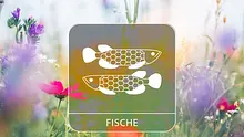 Sternzeichengrafik auf Blumenwiese - Foto: Collage mit iStock/borchee und Astrowoche.de Sternzeichengrafik auf Blumenwiese - Foto: Collage mit iStock/borchee und Astrowoche.de