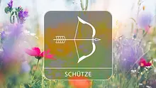 Sternzeichengrafik auf Blumenwiese - Foto: Collage mit iStock/borchee und Astrowoche.de Sternzeichengrafik auf Blumenwiese - Foto: Collage mit iStock/borchee und Astrowoche.de