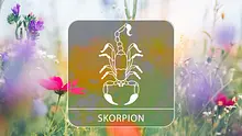 Sternzeichengrafik auf Blumenwiese - Foto: Collage mit iStock/borchee und Astrowoche.de Sternzeichengrafik auf Blumenwiese - Foto: Collage mit iStock/borchee und Astrowoche.de