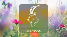 Sternzeichengrafik auf Blumenwiese - Foto: Collage mit iStock/borchee und Astrowoche.de Sternzeichengrafik auf Blumenwiese - Foto: Collage mit iStock/borchee und Astrowoche.de