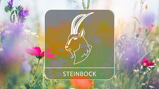 Sternzeichengrafik auf Blumenwiese - Foto: Collage mit iStock/borchee und Astrowoche.de