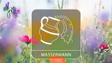 Sternzeichengrafik auf Blumenwiese - Foto: Collage mit iStock/borchee und Astrowoche.de Sternzeichengrafik auf Blumenwiese - Foto: Collage mit iStock/borchee und Astrowoche.de