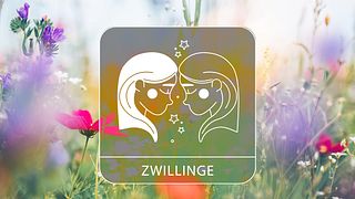 Sternzeichengrafik auf Blumenwiese - Foto: Collage mit iStock/borchee und Astrowoche.de