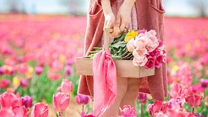 Frau hält einen Korb auf einem Tulpenfeld - Foto: Pixel-Shot / AdobeStock