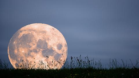 Horoskop für den Neuanfang: Magischer Vollmond im Wassermann - Foto: iStock/olaser