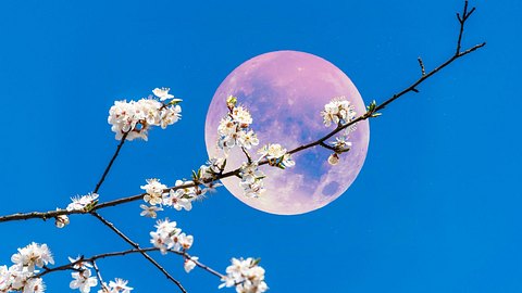 Das magische Mond-Mantra für die Woche vom 10. bis 16. April 2023 - Foto: Budanatr/iStock