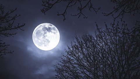 Das magische Mond-Mantra für die Woche vom 16. bis 22. Januar 2023 - Foto: Wirestock / iStock