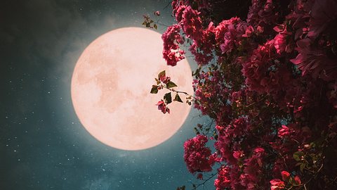 Das magische Mond-Mantra für die Woche vom 20. bis 26. März 2023 - Foto: jakkapan21/iStock