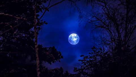 Ihr magisches Mond-Mantra der Woche vom 22. bis 28. Mai 2023 - Foto: Ville Heikkinen/iStock