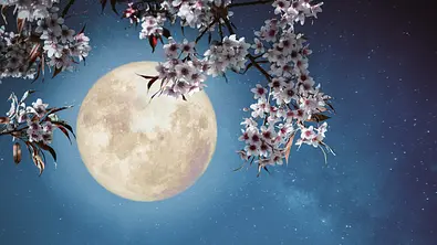Ihr Mond-Mantra in der Woche vom 26. Juni bis 2. Juli 2023 - Foto: jakkapan21/iStock