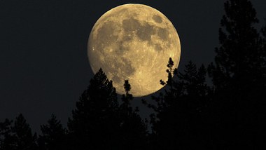 Das magische Mond-Mantra für die Woche vom 30. Januar bis 5. Februar 2023 - Foto: davidhoffmannphotography / iStock