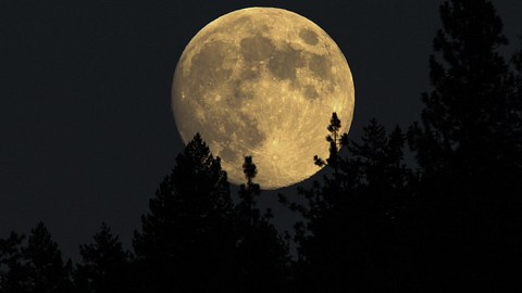 Das magische Mond-Mantra für die Woche vom 30. Januar bis 5. Februar 2023 - Foto: davidhoffmannphotography / iStock