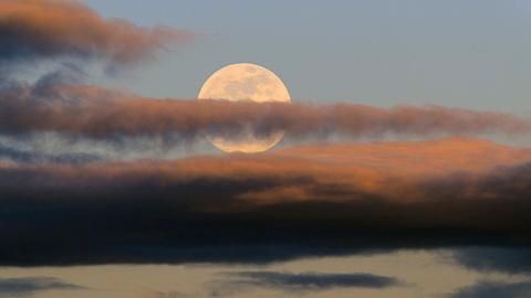 Ihr tägliches Mond-Mantra für die Woche vom 4. bis 10. März 2024 - Foto: JULIAN74 / iStock