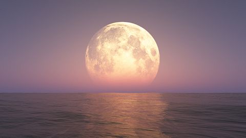 Mond-Mantra vom 5. bis 11. Februar 2024 - Foto: aleksandarnakovski/iStock