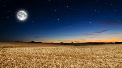 Vollmond über Weizenfeld - Foto: iStock/ klagyivik