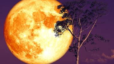 Ihr tägliches Mond-Mantra für die Woche vom 17. bis 23. Juni 2024 - Foto: Chayanan / iStock