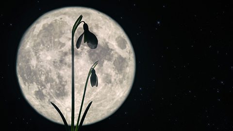 Ihr tägliches Mond-Mantra für die Woche vom 22. bis 28. April 2024 - Foto: mady70 / iStock