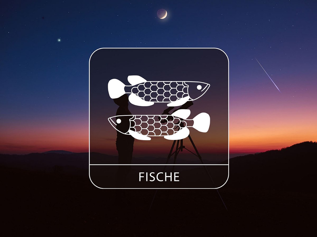 Sternzeichen Fische vor einem Nachthimmel mit partieller Mondfinsternis