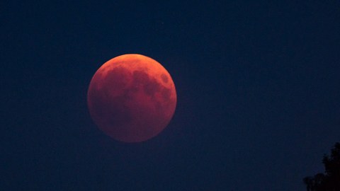 Das magische Mondfinsternis-Horoskop für den 8. November 2022: So rettet der dunkle Mond unser Glück! - Foto: HT-Pix/iStock