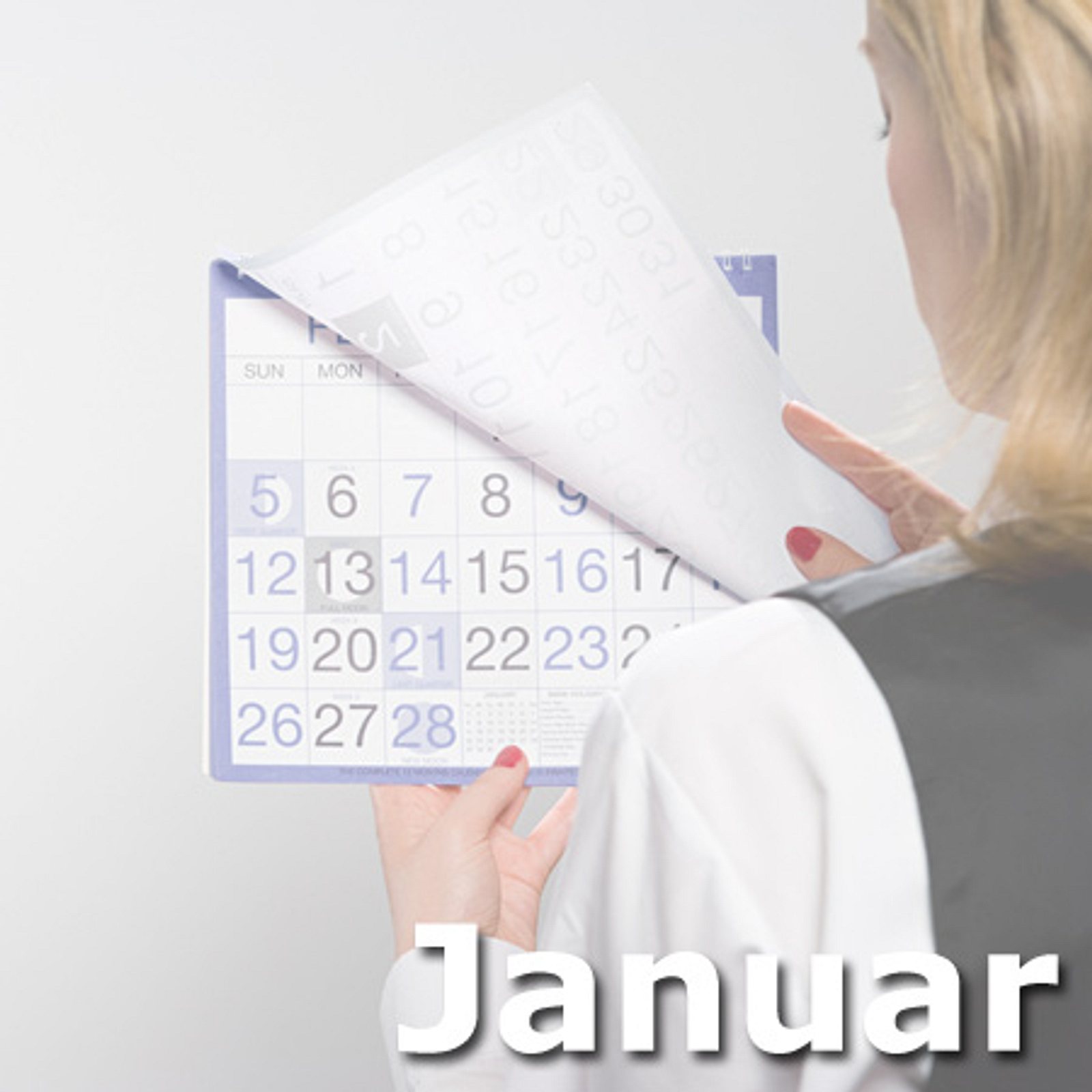 Abnehmender Mond im Löwen 1. Januar, 0:00 – 1. Januar, 18:36