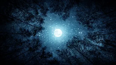 Der Vollmond steht am Sternenhimmel in einem Kreis aus Baumkronen - Foto:  Tryfonov / AdobeStock