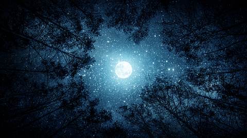 Der Vollmond steht am Sternenhimmel in einem Kreis aus Baumkronen - Foto:  Tryfonov / AdobeStock