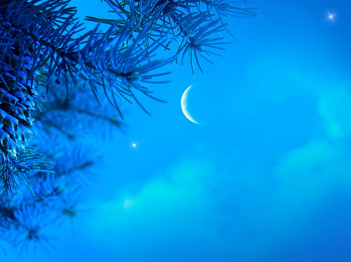 Im Vordergrund die Zweige eines Nadelbaums, im Hintergrund steht ein Neumond am Himmel