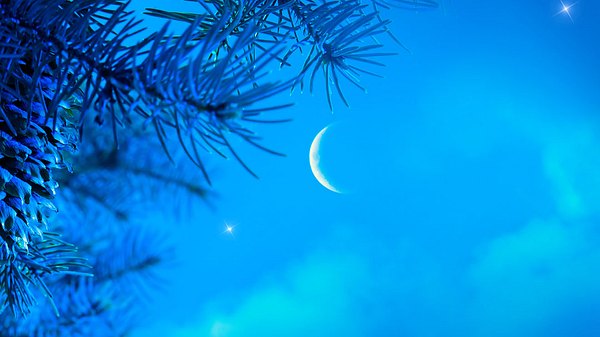 Im Vordergrund die Zweige eines Nadelbaums, im Hintergrund steht ein Neumond am Himmel - Foto: Konstiantyn / AdobeStock