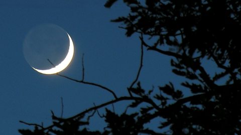 Der Neumond im November lässt 3 Sternzeichen über sich hinauswachsen - Foto: sxn/iStock