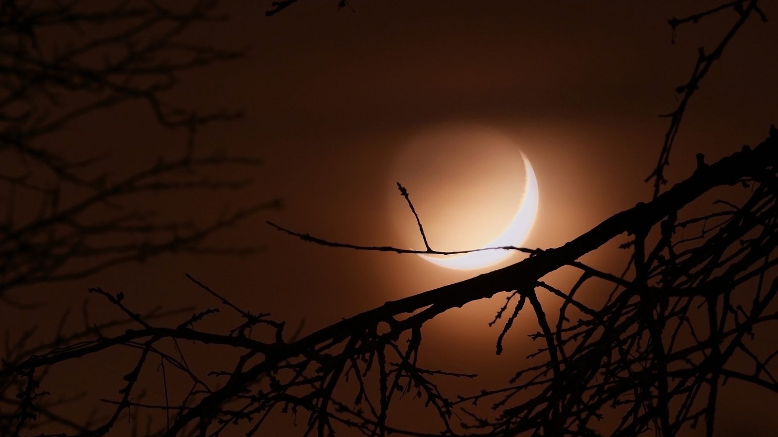 Neumond im Oktober 2023 Er ermöglicht den Sternzeichen tiefgehende