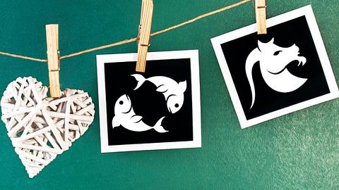 Das Partnerhoroskop verrät Ihnen mehr über Ihre Beziehung als Fisch und Steinbock - Foto: Mehmet Hilmi Barcin &cidepix / iStock
