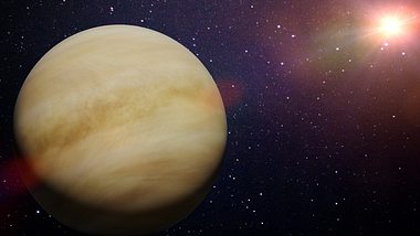Venus im Sterneichen Krebs - Foto: dottedhippo/iStock