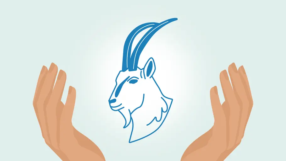 Schutzengel Botschaft Steinbock