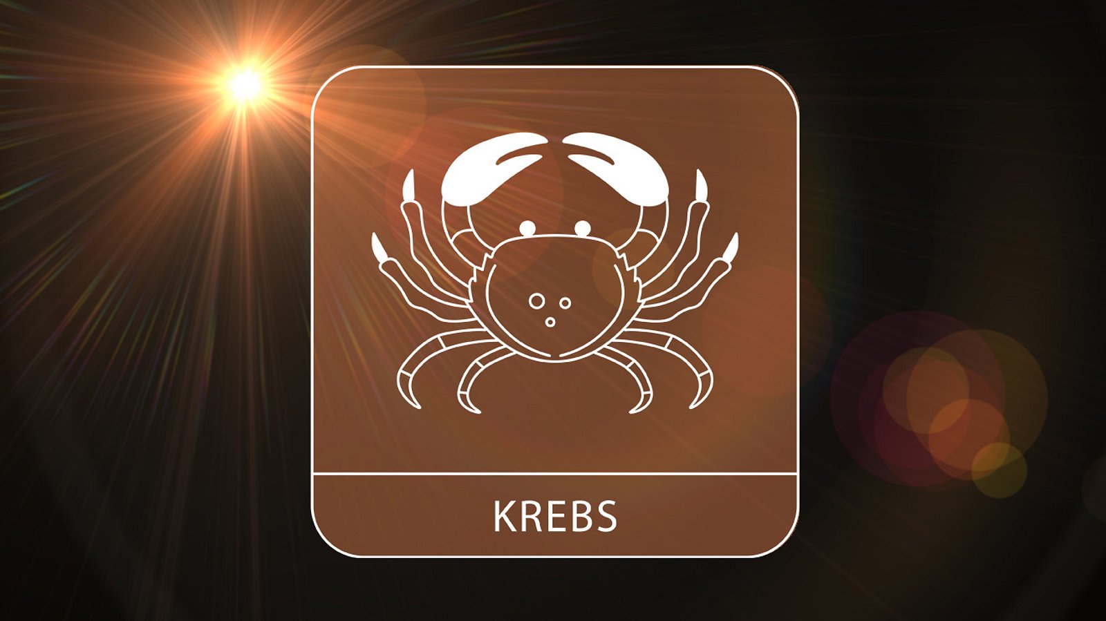 Horoskop 2024 Krebs