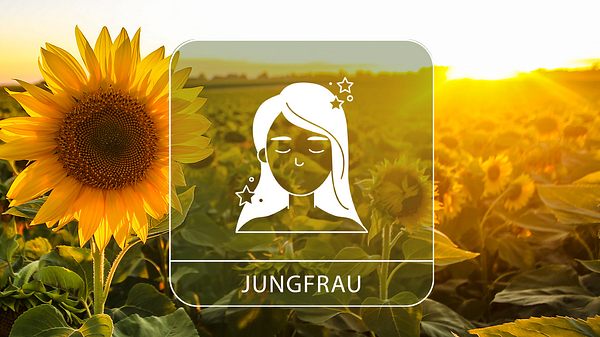 Das große Sommer-Horoskop 2024: Die besten Tage für das Sternzeichen Jungfrau - Foto: Collage mit GoodLifeStudio / iStock und Astrowoche.de