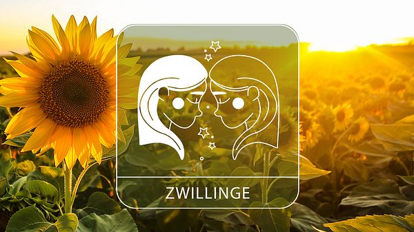 Das große Sommer-Horoskop 2024: Die besten Tage für das Sternzeichen Zwillinge - Foto: Collage mit GoodLifeStudio / iStock und Astrowoche.de