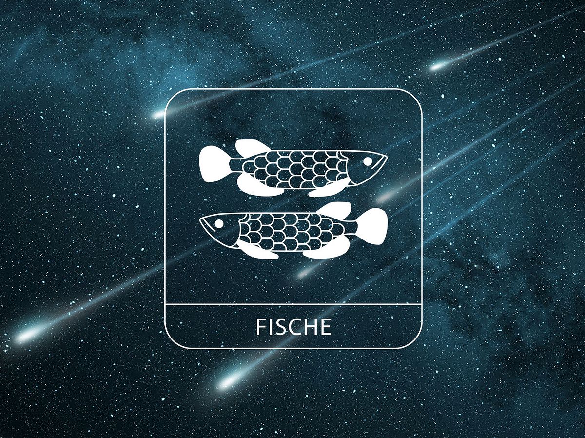Sternzeichen Fische vor einer Sternschnuppen-Nacht