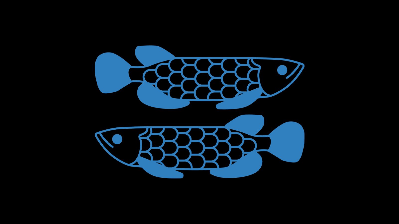 Tageshoroskop Morgen Fische Astrowoche